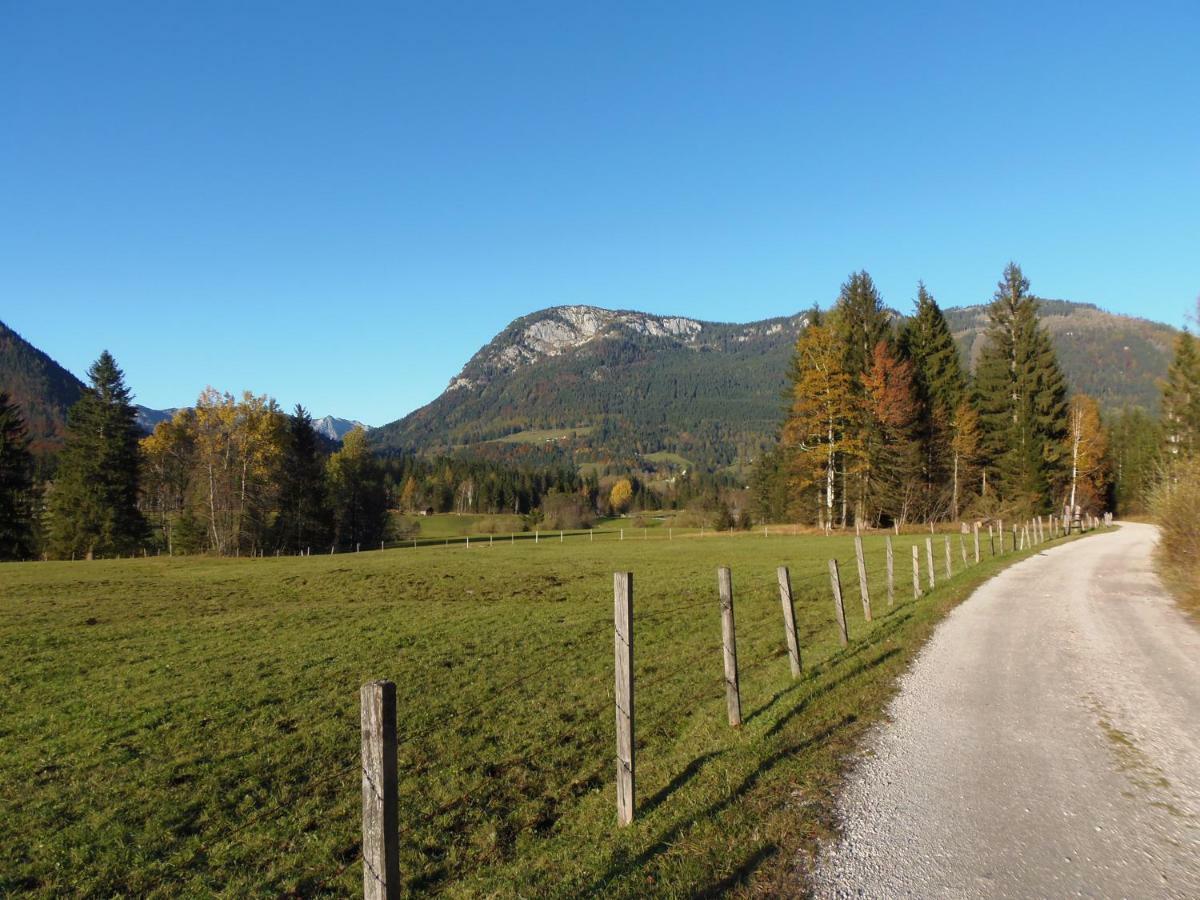 Ferienwohnung Andrea Bad Mitterndorf Exterior foto